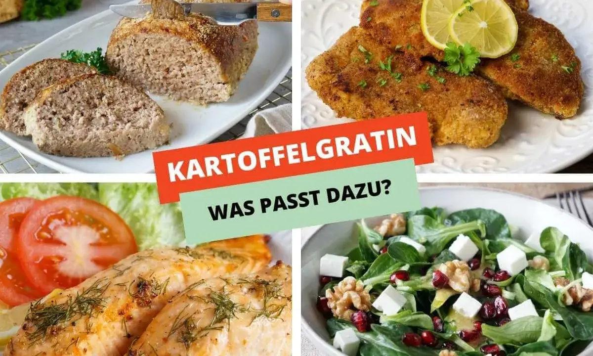 Vier Gerichte als Hauptspeise zu Kartoffelgratin: Hackbraten, Schnitzel, Lachs und ein Salat.