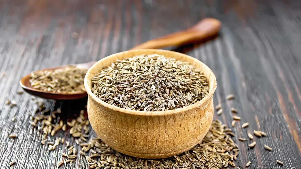 Ein Holzlöffel und eine Schale sind gefüllt mit Kümmelsamen. Was ist Kümmel? Ein beliebtes Gewürz für Brot und deftige Gerichte.