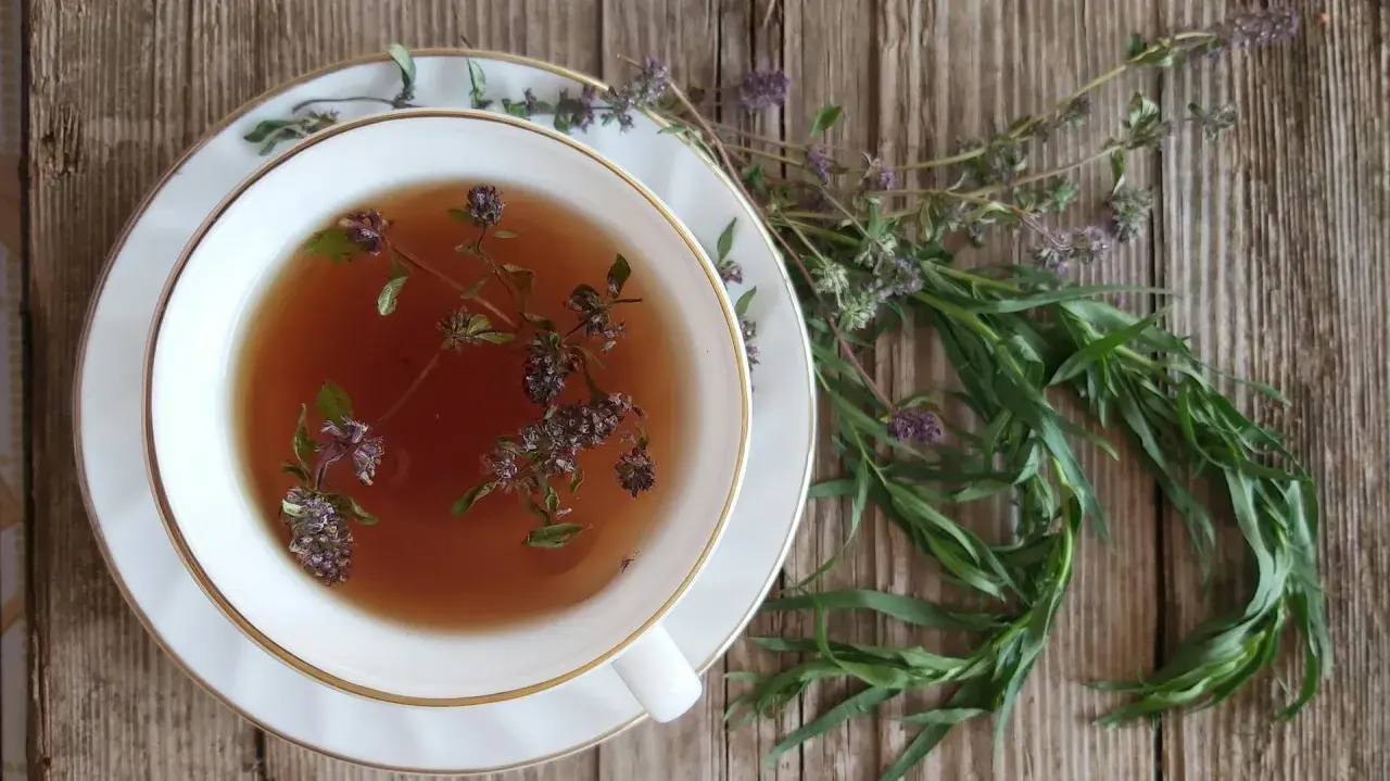 Eine Tasse Kräutertee mit Estragon-Verwendung. Frische Kräuter liegen daneben auf Holz.