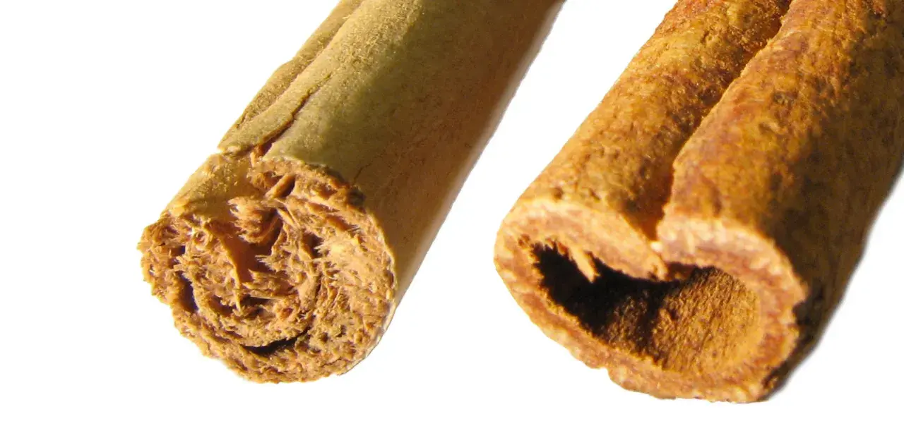 Nahaufnahme von zwei Zimtstangen, die den Unterschied zwischen Zimt und Ceylon-Zimt zeigen.