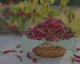 Ein Korb voller scharfer Peperoncini, die für ihre feurige Würze bekannt sind. Einige liegen verstreut auf dem Tisch.