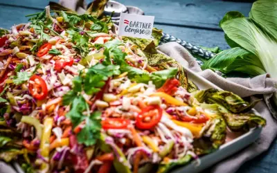 Bunter asia salat mit knackigem Gemüse, Koriander und Chili. Ein Fest für die Sinne!