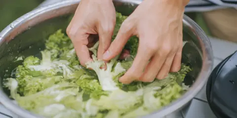 Hände waschen knackigen Salat in einer Schüssel. So lässt sich ein guter Salat gut vorbereiten.