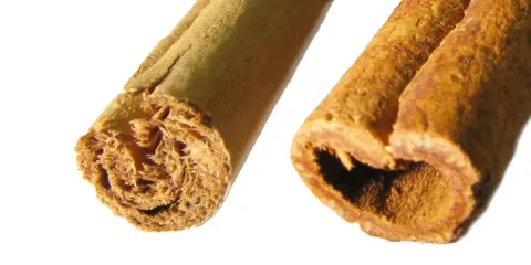 Nahaufnahme von zwei Zimtstangen, die den Unterschied zwischen Zimt und Ceylon-Zimt zeigen.