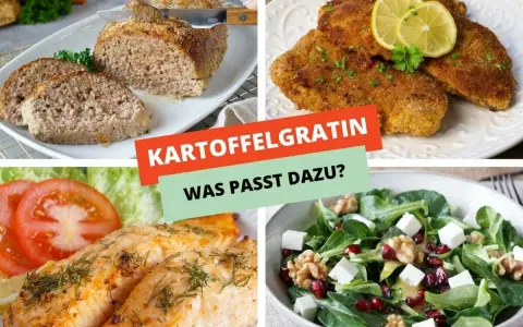 Vier Gerichte als Hauptspeise zu Kartoffelgratin: Hackbraten, Schnitzel, Lachs und ein Salat.