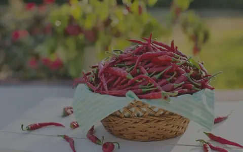 Ein Korb voller scharfer Peperoncini, die für ihre feurige Würze bekannt sind. Einige liegen verstreut auf dem Tisch.