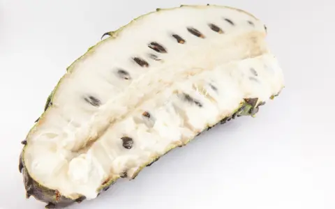 Aufgeschnittene Soursop-Frucht mit weißem Fruchtfleisch und dunklen Kernen, bereit für den Genuss.
