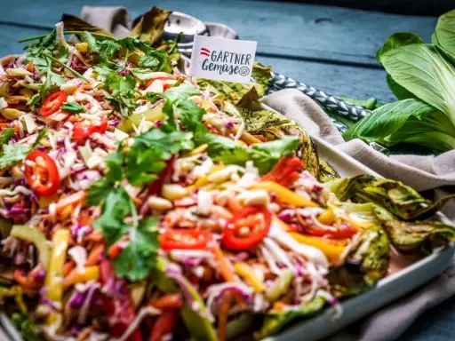 Bunter asia salat mit knackigem Gemüse, Koriander und Chili. Ein Fest für die Sinne!
