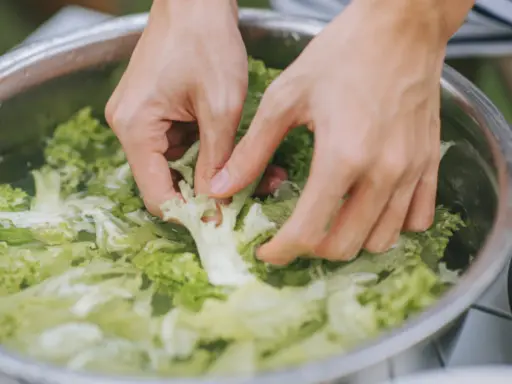 Hände waschen knackigen Salat in einer Schüssel. So lässt sich ein guter Salat gut vorbereiten.