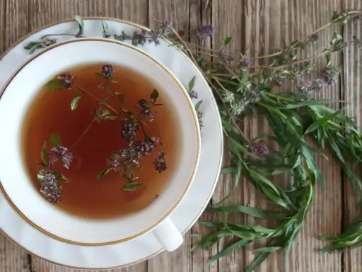 Eine Tasse Kräutertee mit Estragon-Verwendung. Frische Kräuter liegen daneben auf Holz.