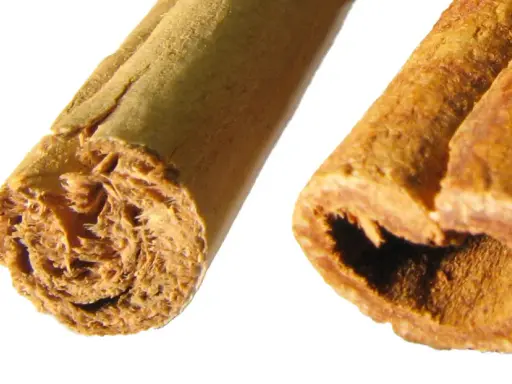 Nahaufnahme von zwei Zimtstangen, die den Unterschied zwischen Zimt und Ceylon-Zimt zeigen.