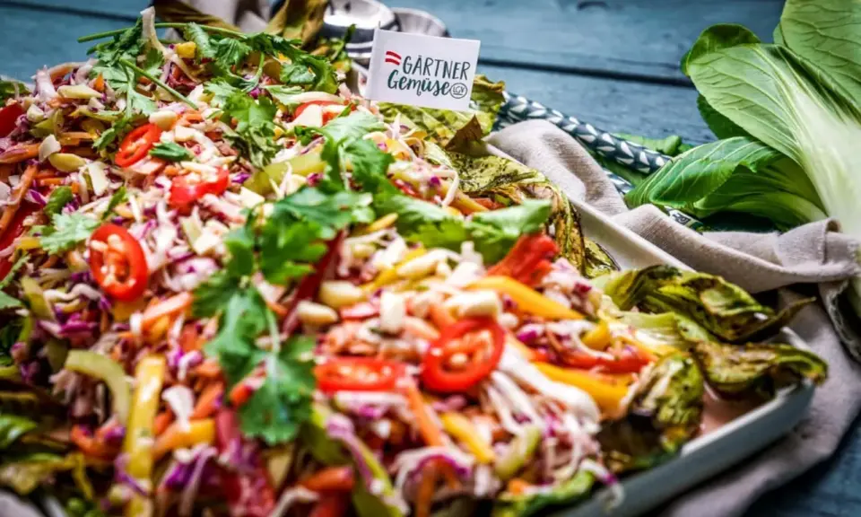 Bunter asia salat mit knackigem Gemüse, Koriander und Chili. Ein Fest für die Sinne!