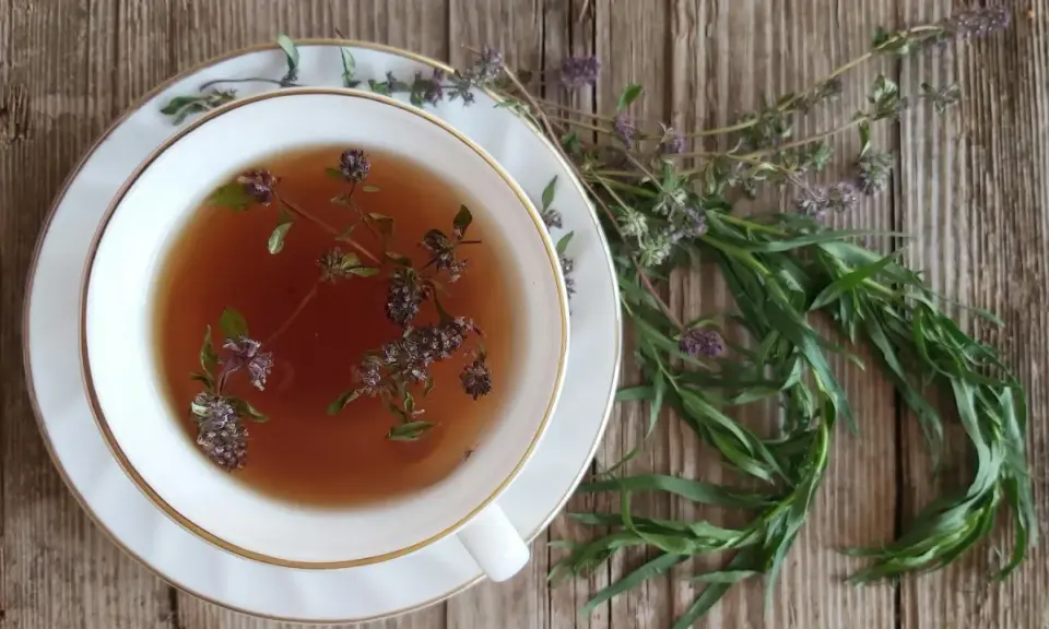 Eine Tasse Kräutertee mit Estragon-Verwendung. Frische Kräuter liegen daneben auf Holz.