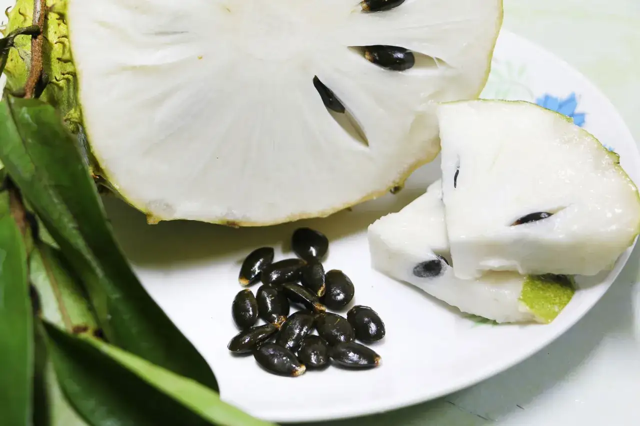 Soursop deutsch: aufgeschnittene Frucht mit wei&szlig;en Kernen und dunklen Samen auf einem Teller, daneben gr&uuml;ne Bl&auml;tter.