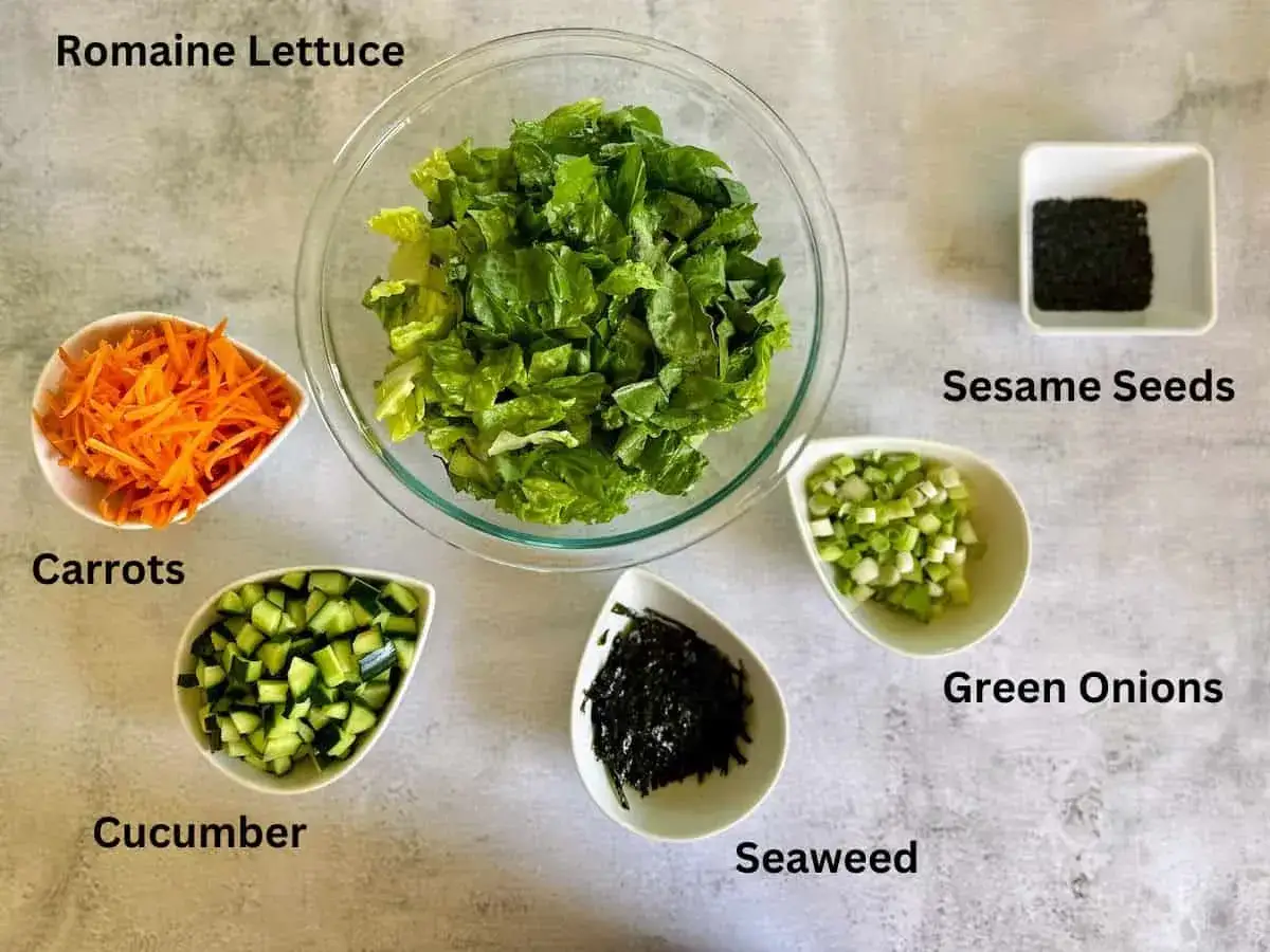 Zutaten f&uuml;r einen frischen asiatischen Salat: Romainesalat, Karotten, Gurken, Fr&uuml;hlingszwiebeln, Seetang und Sesamsamen.