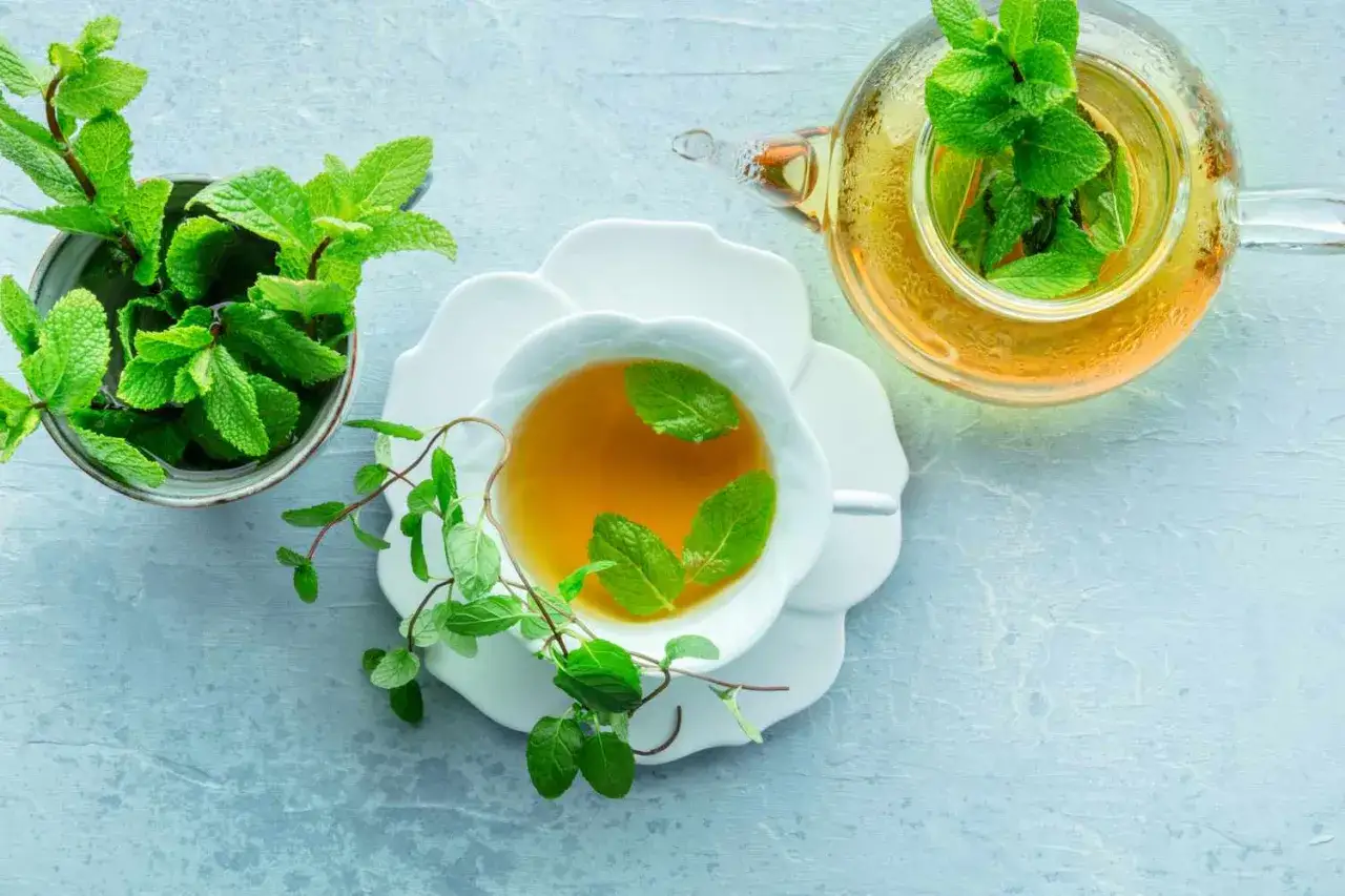 Frischer Minztee in einer Tasse und Kanne, umgeben von Minzbl&auml;ttern. Minze gesund und erfrischend.